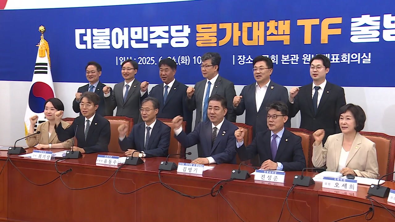민주, 물가대책 TF 출범..."국민 체감 대책 마련" / YTN
