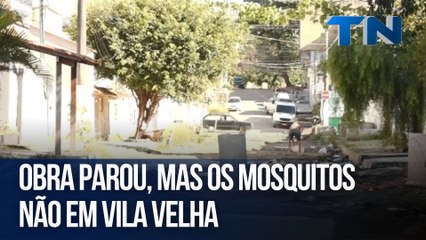 Obra parou, mas os mosquitos não em Vila Velha