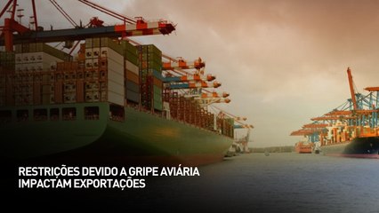 Restrições devido a gripe aviária impactam exportações