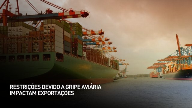Restrições devido a gripe aviária impactam exportações