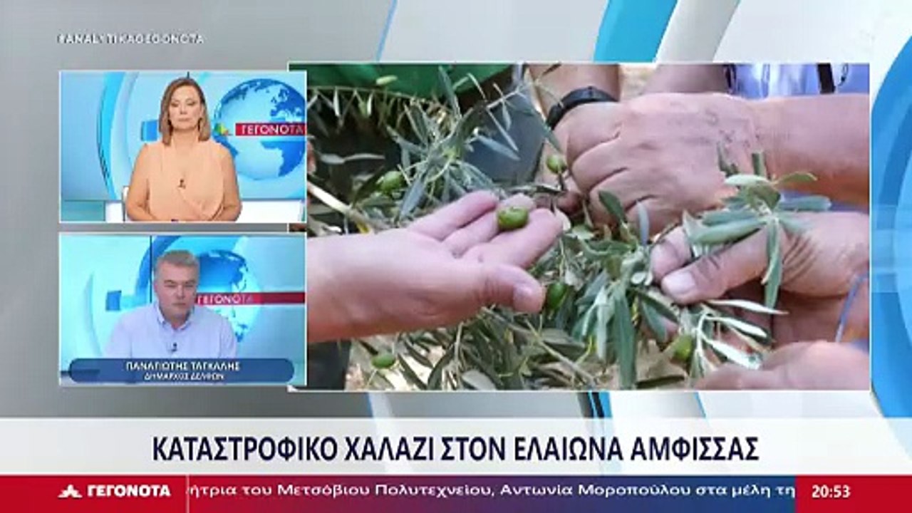 Ο Δήμαρχος Δελφών, Παναγιώτης Ταγκαλής στο STAR