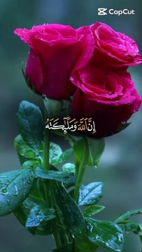 Darood e Pak Aur Qur’an Ka Hukam | Naseehat Jo Dil Ko Chu Jaye | Islamic Short Video #DaroodEPak, #Quran, #Naseehat, #IslamicReminder, #Shorts