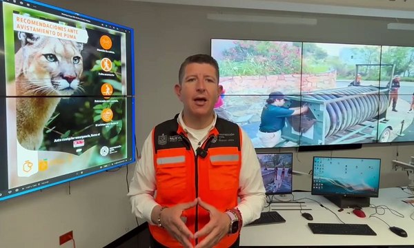 Protección Civil NL activa protocolo por avistamientos de fauna silvestre en Monterrey