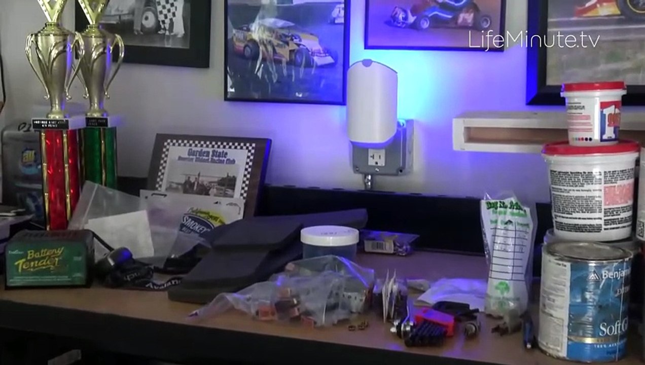 Keep Your Home Pest-Free This Bug Season