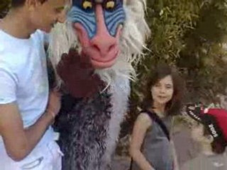 Disney land Paris vidéo 1