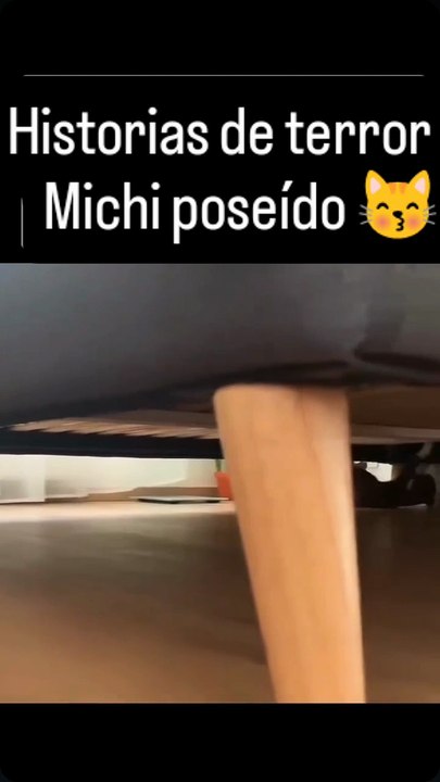 Otra historia de mascotas 😳