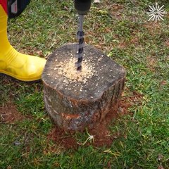 Possibly easy way to remove a tree stump!