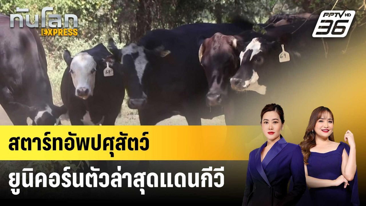 สตาร์ทอัพเทคโนโลยีปศุสัตว์ ยูนิคอร์นตัวล่าสุดแด...