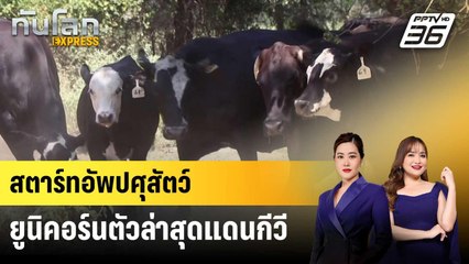 สตาร์ทอัพเทคโนโลยีปศุสัตว์ ยูนิคอร์นตัวล่าสุดแดนกีวี | ทันโลก EXPRESS | 25 มิ.ย. 68