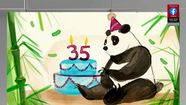 La panda más longeva de Latinoamérica, Xin Xin, cumple 35 años | Milenio Hábitat