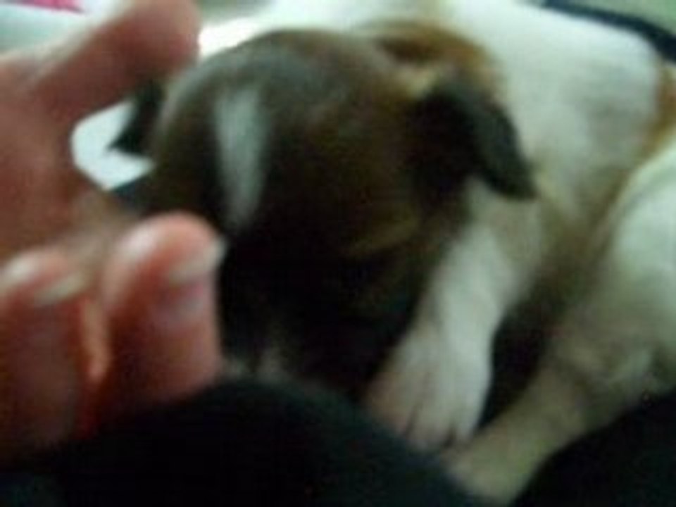 Bébé sur moi