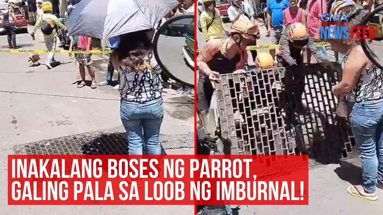 Inakalang boses ng parrot, galing pala sa loob ng imburnal! | GMA Integrated Newsfeed