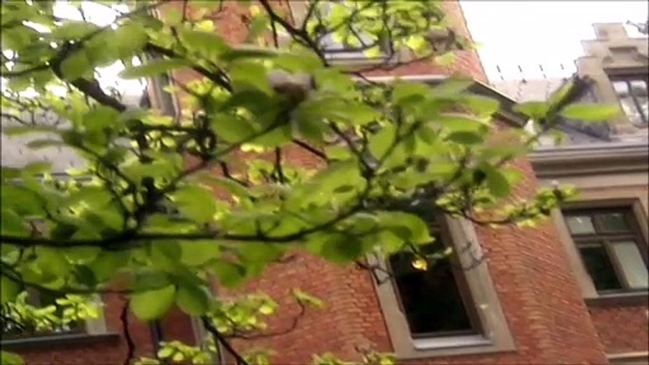 MONIKA MARTIN — MEDLEY (Napoli Adieu/Du warst da (als der Sommer kam)/La Luna Blu) | MONIKA MARTIN — MEINE LIEDER, MEINE TRÄUME | (2010