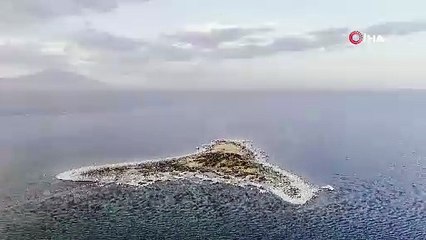 Bitlis'te Tatvan sahilinde mikrobiyalit ve adacıklar ortaya çıktı