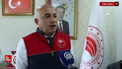 Trakya'da son iki haftadaki yangınlarda 2 bin 750 dekar ekili alan zarar gördü