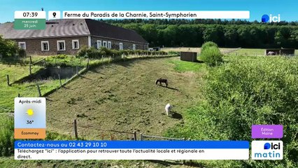 25/06/2025 - ici matin par ici Maine en vidéo
