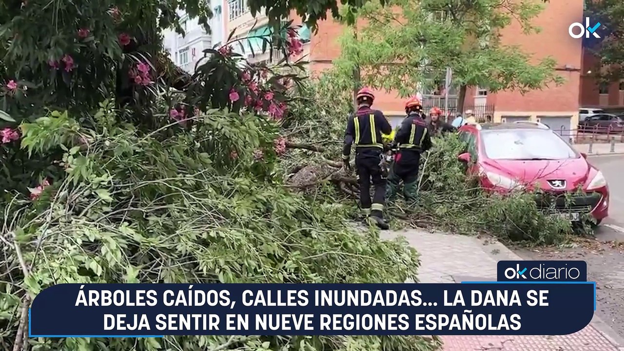 Árboles caídos, calles inundadas... la DANA se deja sentir en nueve regiones españolas