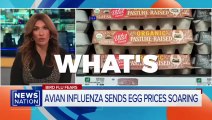 🔥 Mar 5 2025 - Dr. Eric Berg - Egg Prices Are NOT by Accident [Plandemic 2]