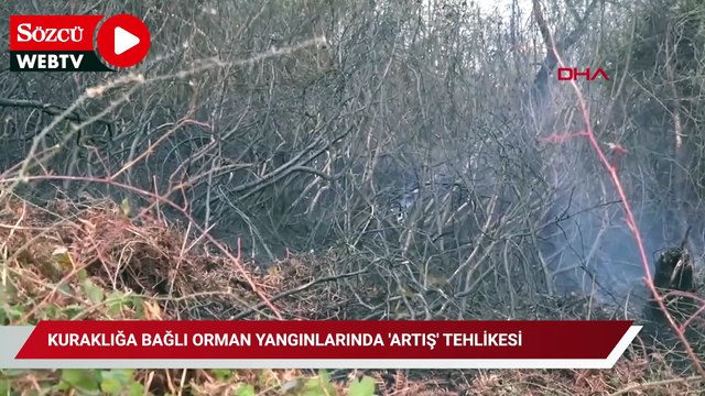 Kuraklığa bağlı orman yangınlarında 'artış' tehlikesi