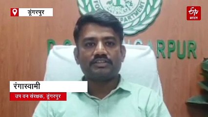 वन्यजीव गणना 2025 :डूंगरपुर के जंगलों में बढ़े चार लेपर्ड समेत 3185 वन्यजीव, 19 सफेद गिद्ध भी दिखे