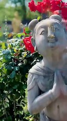 Oops, I Made the Stock Soar Full Chinese Drama