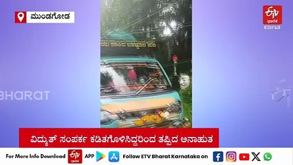 ವಾಹನದ ಮೇಲೆ ಮುರಿದು ಬಿದ್ದ ವಿದ್ಯುತ್ ಕಂಬ: ಪ್ರಾಣಾಪಾಯದಿಂದ ಪಾರಾದ ಕಾರ್ಮಿಕರು