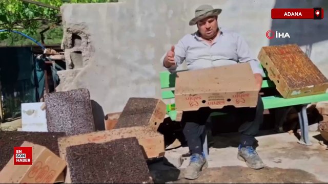 Adana’da sinekle mücadeleye yaratıcı çözüm: Kartonlu sinek tuzağı işe yaradı
