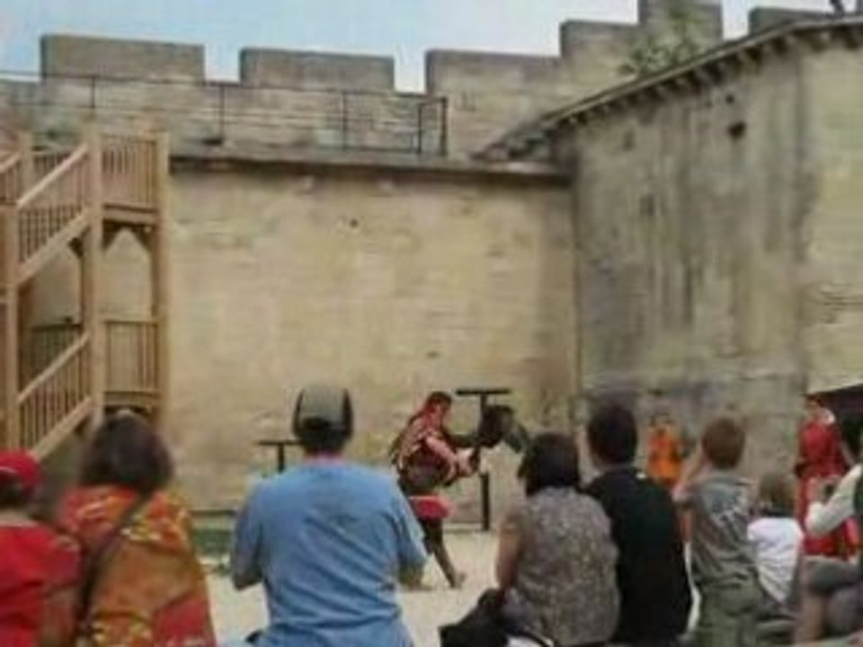 Arrivée aigle beaucaire