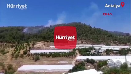 Antalya’nın Kumluca ilçesinde orman yangını