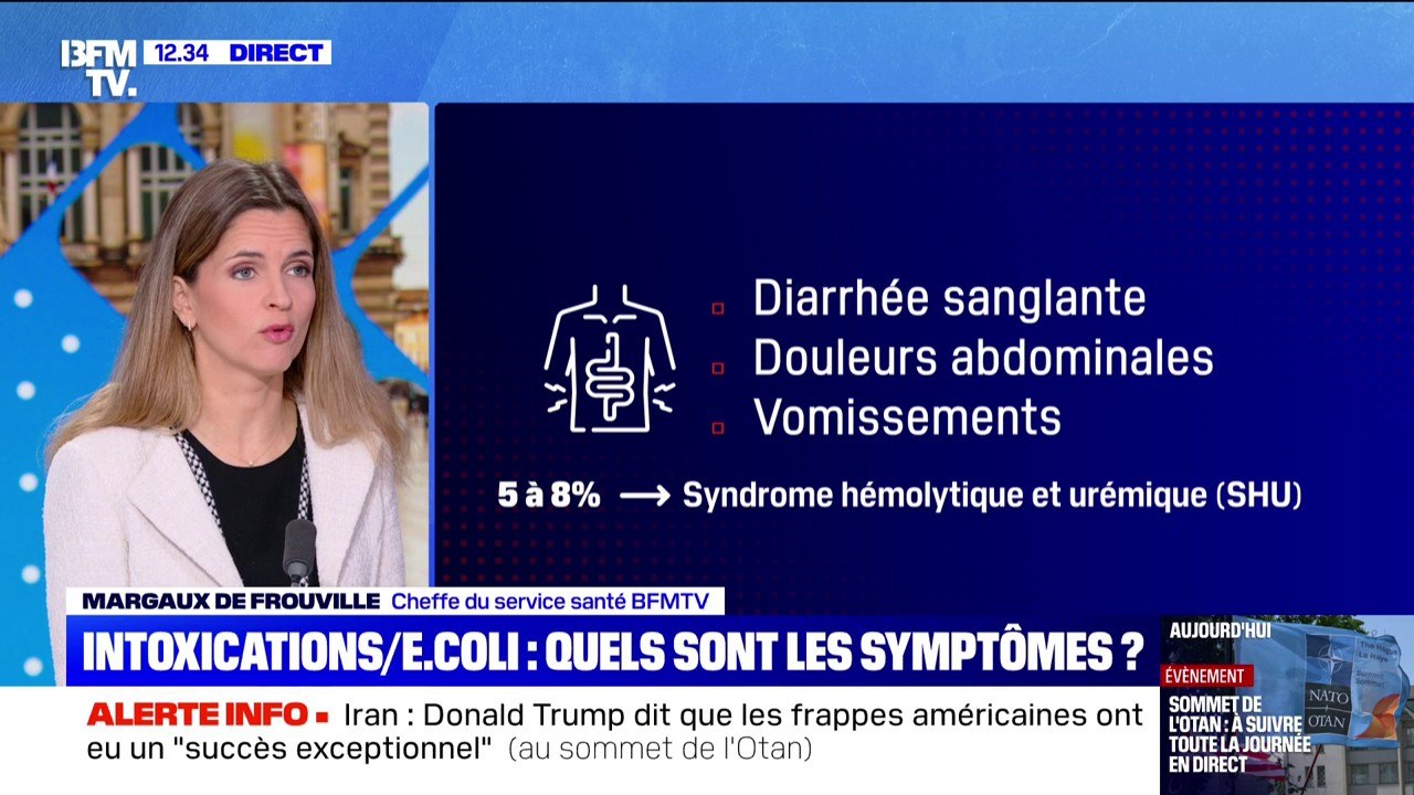 Intoxications dans l'Aisne: quels sont les symptômes de l'intoxication à la bactérie E.Coli?