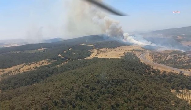 İzmir’in Foça ilçesinde orman yangını