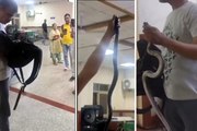 जिंदा सांप लेकर इमरजेंसी पहुंचा युवक...