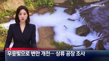 [단독]우윳빛으로 변한 개천…상류 공장 조사
