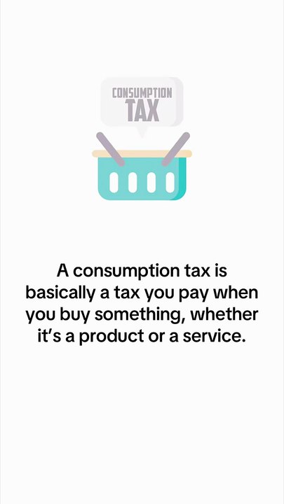What is Consumption Tax?