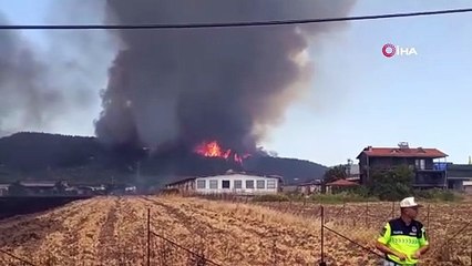 İzmir'de büyük yangın: Çok sayıda uçak ve helikopter bölgede