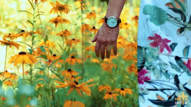 A PRESENÇA DO CONSOLADOR | Abraão & Salatiel cantando AO VIVO em Momentos no Tabernáculo da Fé em Goiânia - GO - Brasil