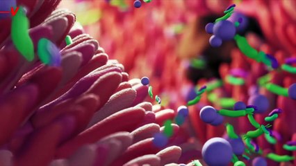 People Living in Cities Are Losing Their Ability to Digest Plants