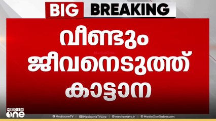 നിലമ്പൂരിൽ കാട്ടാന ആക്രമണത്തിൽ ആദിവാസി യുവാവ് കൊല്ലപ്പെട്ടു