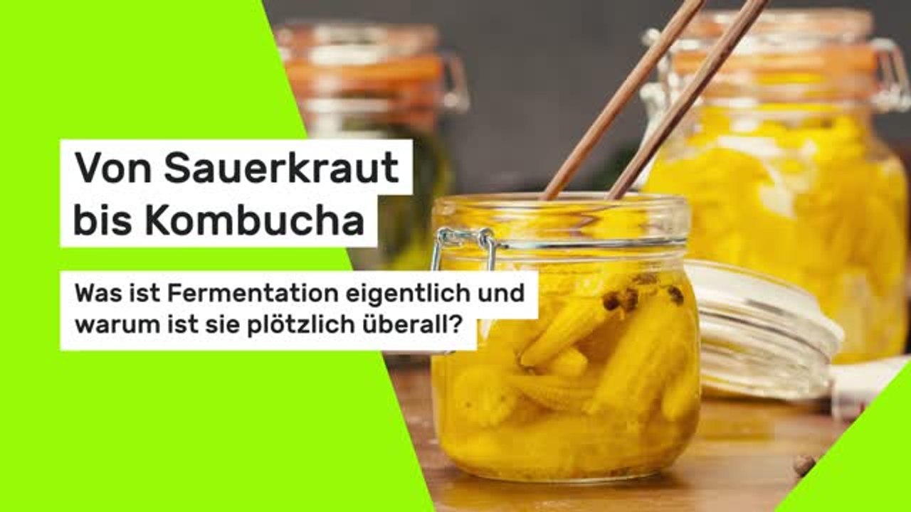 Von Sauerkraut bis Kombucha: Was ist Fermentation eigentlich – und warum ist sie plötzlich überall?