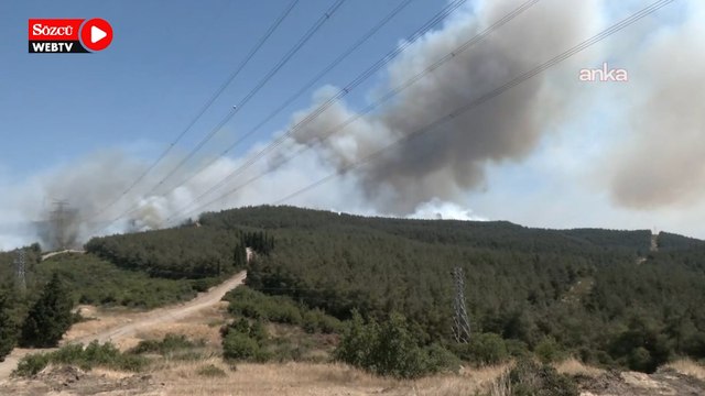 İzmir’in Aliağa ilçesinde orman yangını