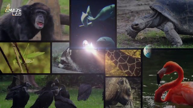 What Would Happen if Earth Stopped Rotating Around the Sun