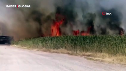 Edremit'te sazlık alanda yangın