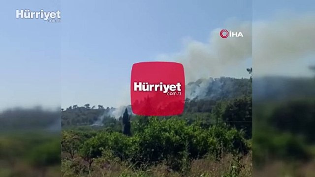 Muğla Köyceğiz’de orman yangını