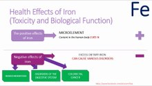 Health effects of iron (toxicity and biological functions)