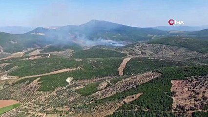 İzmir Torbalı’da orman yangınına müdahale sürüyor