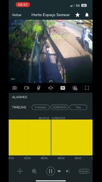 Imagens de câmeras de segurança flagram suspeito furtando plantas de loja em Abrantes