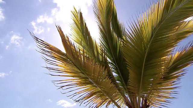 El 72% de los españoles quiere dejar el destino que visita en mejor condición que cuando llegó