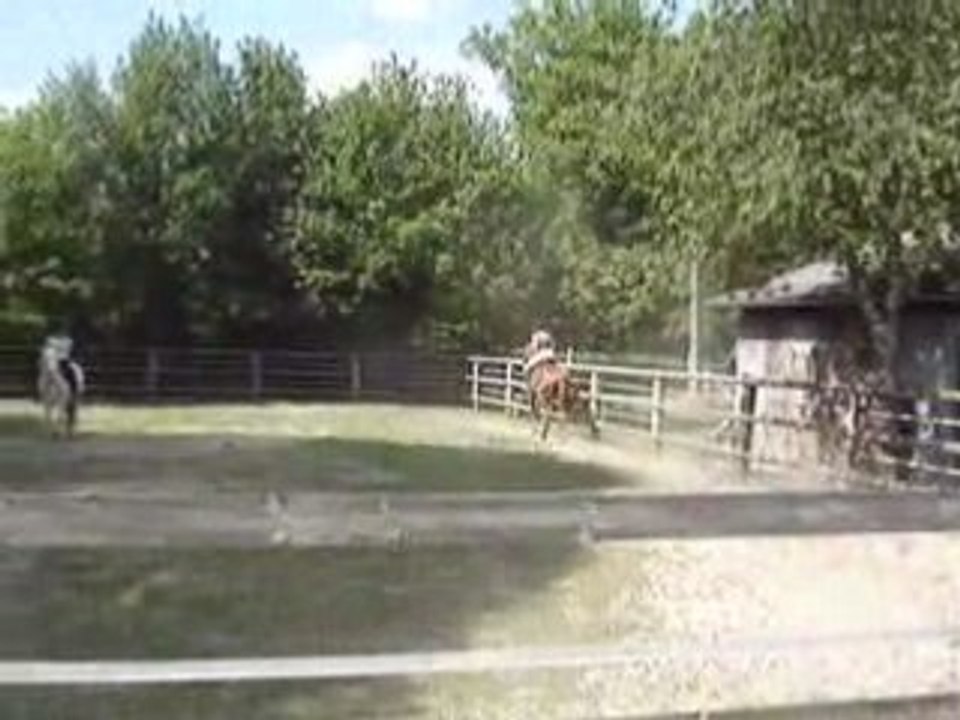 MOV04764