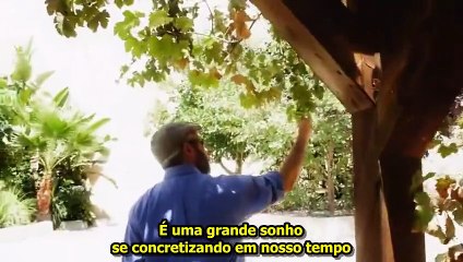 O florescer da consciência solidária