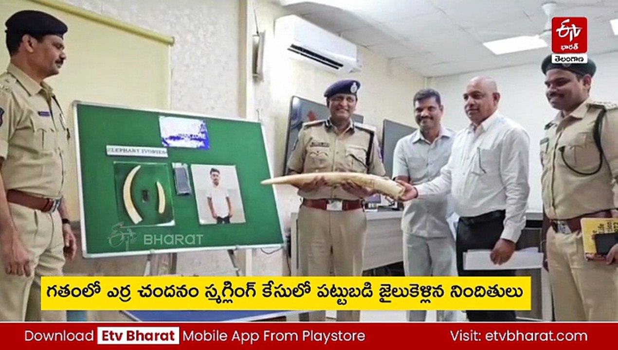 హైదరాబాద్​లో రూ.3కోట్ల విలువైన ఏనుగు దంతాలు - ఎ...
